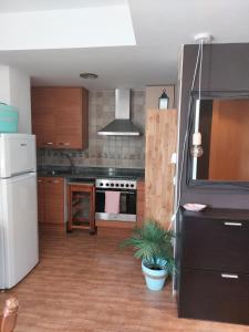 a kitchen with wooden cabinets and a white refrigerator at Casa BLAVA in Benicarló