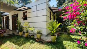 a house with plants in front of it at Hey Lala Talalla in Matara