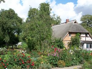 Zahrada ubytování Ferienwohnung Birnengarten am Pfarrgarten Starkow + 10 fotografií