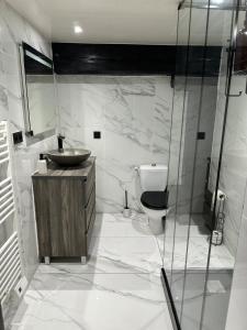 un baño con lavabo e inodoro en Les Secrets du Moulin, en Dole
