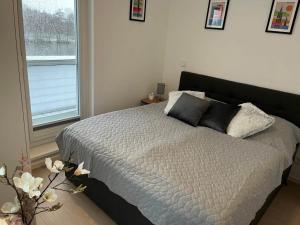 une chambre avec un lit avec des oreillers et une fenêtre dans l'établissement Ferienhaus Michel, à Butjadingen