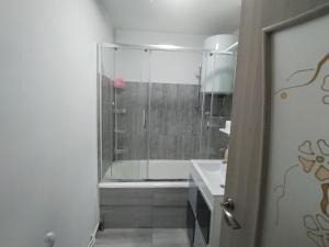 a bathroom with a shower and a sink at Alexia Cozy Retreat in Vatra Dornei