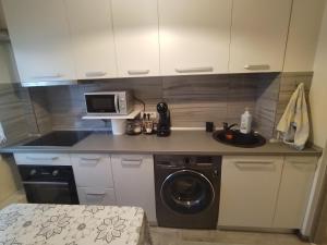 a kitchen with a washing machine and a microwave at Alexia Cozy Retreat in Vatra Dornei