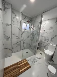a bathroom with a shower and a toilet at Estudio primer line playa Fuengirola 3 people in Fuengirola