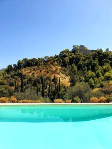 Foto dalla galleria di Evoikon a Liyiá