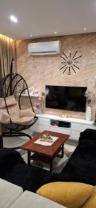 贝尔格莱德Apartman Laki-M的客厅里有一张沙发和一台电视