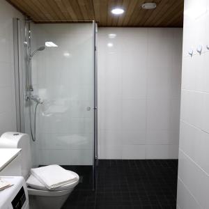 a bathroom with a shower and a toilet and a sink at Henniina V Pakkahuone I - Sauna & Free Parking in Oulu +4 photos