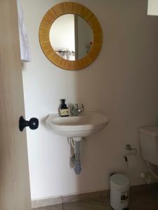 希龙habitación Donde Leo的带水槽和镜子的浴室