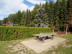 哈瑟尔费尔德Ferienhaus Nr 51, Typ B, Ferienanlage Blauvogel, Hasselfelde, Harz的公园内带游乐场的野餐桌 更多3张照片