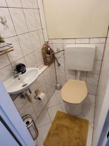 a small bathroom with a toilet and a sink at Apartmán Juli in Horní Planá +6 photos