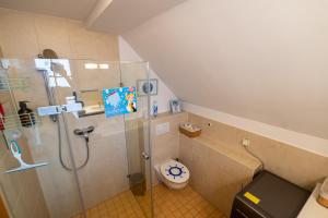 施维洛塞Romantisches Retro Loft Caputh bei Potsdam - neu!的带淋浴和卫生间的浴室 更多39张照片