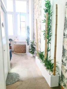 einen Flur mit Pflanzen und einer Badewanne in der Unterkunft Confortable habitación, con baño y cocina privados in San Sebastián de los Reyes