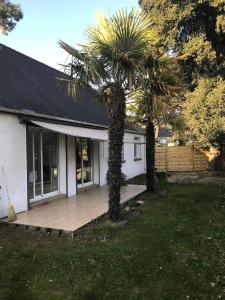 ラ・ボールにあるMaison à 10mn à pieds de la plageの椰子の木