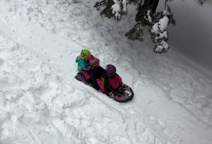 Bear Haus - Sledding At Cabin - Forest Views - Foosball v zimě