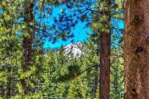 a snow covered mountain in the distance through trees at Bear Haus - Sledding At Cabin - Forest Views - Foosball in South Lake Tahoe