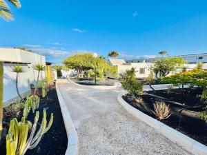 a street with cacti and plants in a yard at Trinity house en Playa Bastian in Costa Teguise