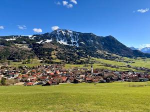 eine kleine Stadt vor einem Berg in der Unterkunft Das Vogelnest in Rettenberg