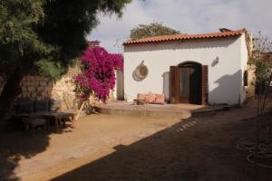 a small white building with a bench and pink flowers at Noah's Ark in Dahab