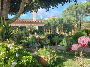 a garden in front of a house with flowers at Finca La Vida Apartment Boungavilla in Llucmajor