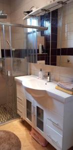 a bathroom with a sink and a shower at Ferienwohnung Sabina in Bosanska Krupa