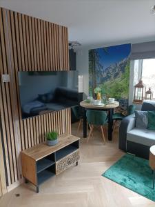 TV a/nebo společenská místnost v ubytování Apartament Zacisze w Białym Dunajcu, Sauna, Kominek, Bezpłatny parking + 15 fotografií