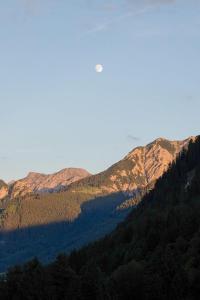 a view of a mountain range with trees in the foreground at Wildgrün Mini Lodge 8a in Pfronten