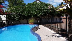 a swimming pool with a fence and trees at Kerikeri Court Motel in Kerikeri