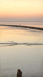 a dog sitting on the beach at sunset at Ferienwohnung Zwergpinscher in Dornum