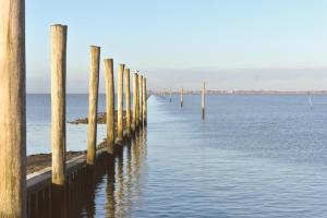 a row of wooden posts in the water at Ferienwohnung Zwergpinscher in Dornum
