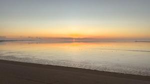 a sunset on the beach with birds in the water at Ferienwohnung Zwergpinscher in Dornum