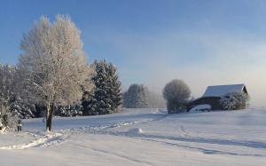 a snow covered field with a house and a tree at Alpenlodge Lechbruck Allgäu - Fewo 13, hochwertige Ausstattung, Allgäu, inkl Golf-Rabatt, Lechbruck am See in Helmenstein