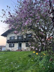 a tree with purple flowers in front of a house at Chiemgauer Landliebe in Höslwang