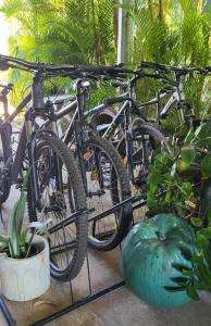 a group of bikes parked next to some plants at Barefoot Bungalow 23 Lake Bennett -private pontoon in Lake Bennett +17 photos