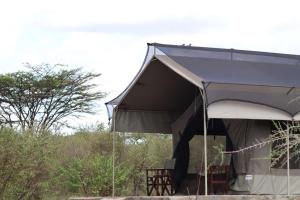 SekenaniにあるBuffalo creek campのギャラリーの写真