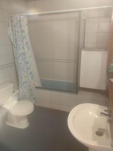 a bathroom with a toilet and a sink at Hospedaje Edificio Kuramochi in Temuco