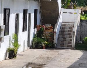 an entrance to a white building with potted plants at Relaxing 2 bedroom with AC, WiFi, Central Location in Golconda
