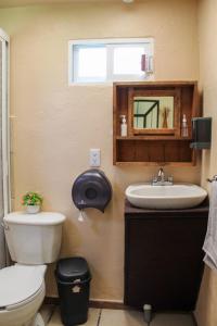 Los AranaにあるHospedajeRancholajoya-Habitacion Fresnoのトイレ、洗面台、鏡のあるバスルーム