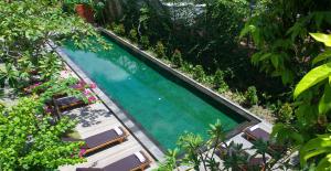 an overhead view of a swimming pool in a garden at Sapodilla Ubud in Ubud
