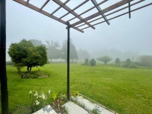 a view of a field with a tree in the fog at Rustic Farmhouse, Curry's Post - SOLAR POWERED in Currys Post
