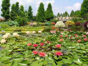 a pond with pink and white flowers in a garden at Lake Biwa Otsu Prince Hotel in Otsu