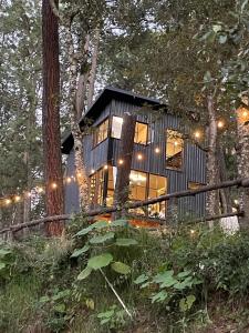 Budova, kde se chata nachází + 71 fotografií