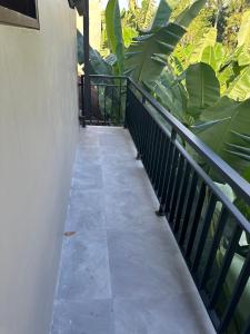 Μπαλκόνι ή βεράντα στο Vamana House +2 φωτογραφίες