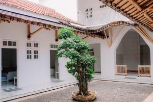 a tree in the courtyard of a house at Cozy Corner House in Banyuwangi