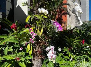 Κήπος έξω από το Real Residence coworking, conforto e piscina para até 5 pessoas