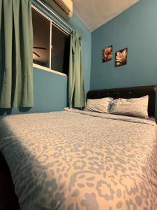 a bedroom with a bed with blue walls and a window at 1Br 2pax 1car only Malaysian guest only in Bayan Lepas