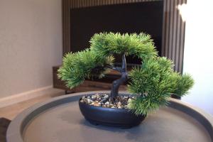 a bonsai tree sitting on top of a table at Luxury 3 bedroom house in Harlow, Essex in Harlow