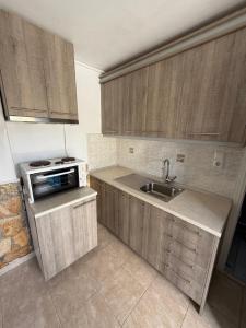 a kitchen with wooden cabinets and a sink at Apalonia Studio in Lipsoi