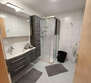 a bathroom with a shower and a sink at Ferienwohnung Haag in Schlitters +20 photos