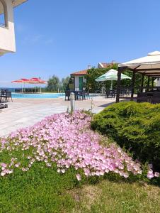 Πισίνα στο ή κοντά στο Family Hotel Lalov Egrek