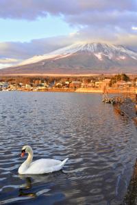 Gallery image of Hotel Mt. Fuji in Yamanakako +67 photos